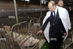 Putin-pigs.png