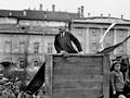 Vignette pour la version du 28 October 2026 à 18:31